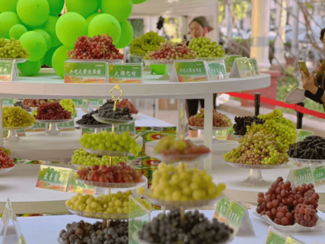 turpan-grape-festival-2.png
