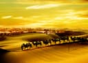 silk-road-tour.jpg