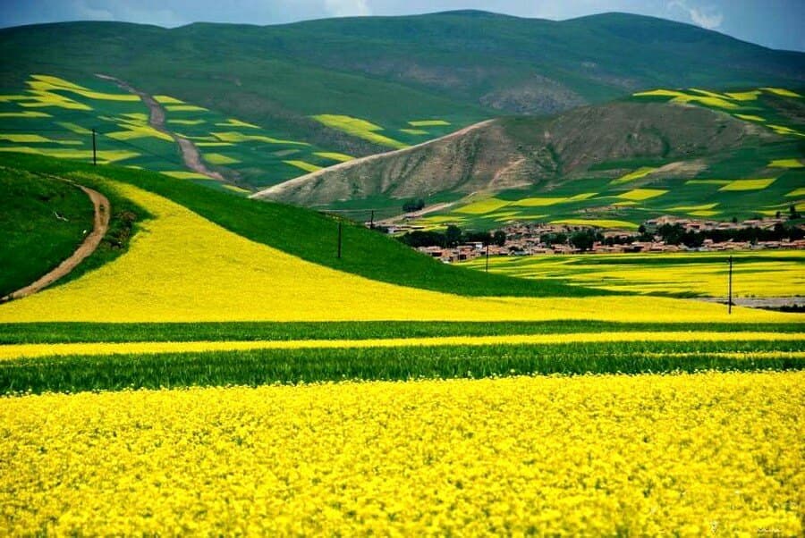 summer-tour-in-qinghai