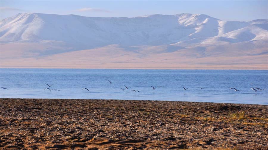 son-kul-lake-2