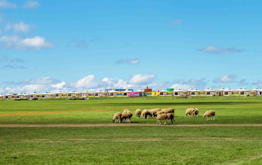 heishantou-grassland-2