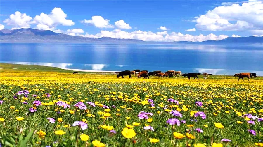 sayram-lake-2