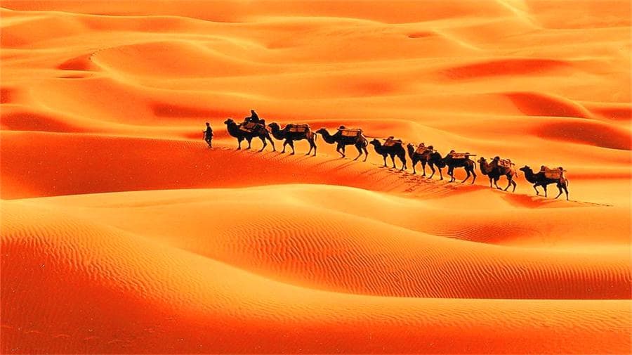 dawakun-desert
