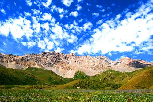 naryn