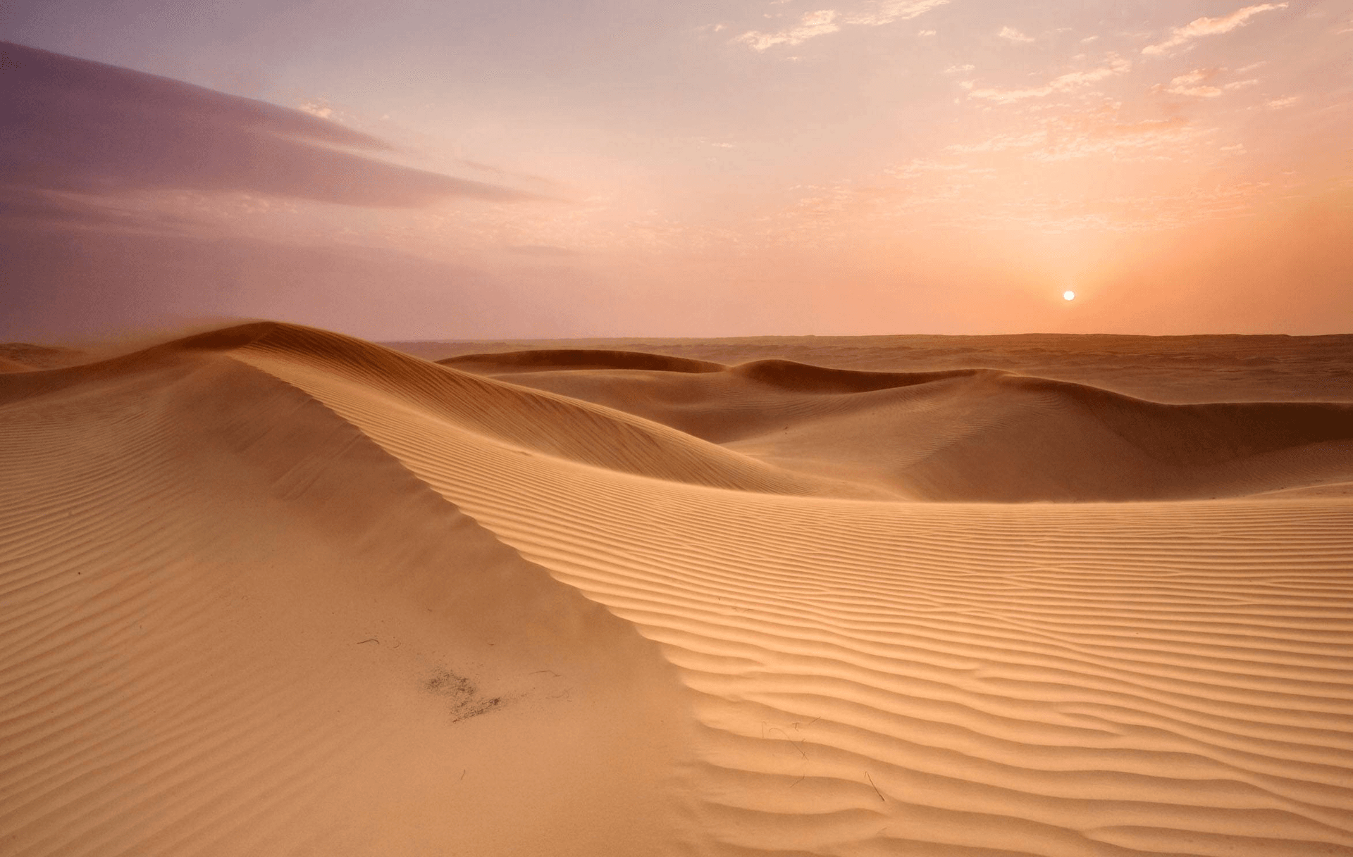 kubuqi-desert kubuqi-desert