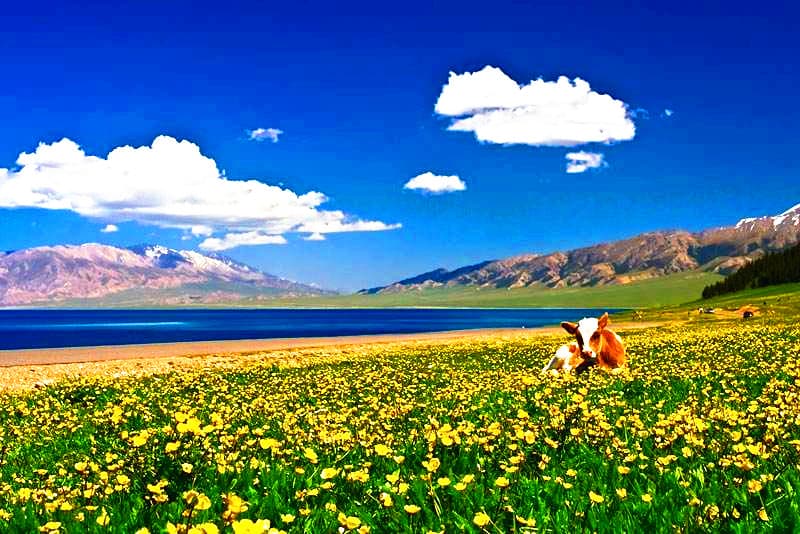 sayram-lake