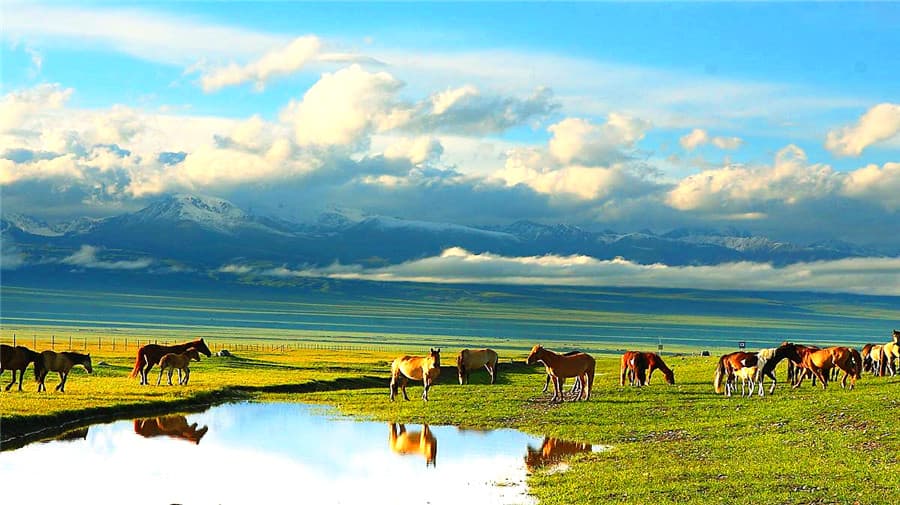 bayinbuluk-1