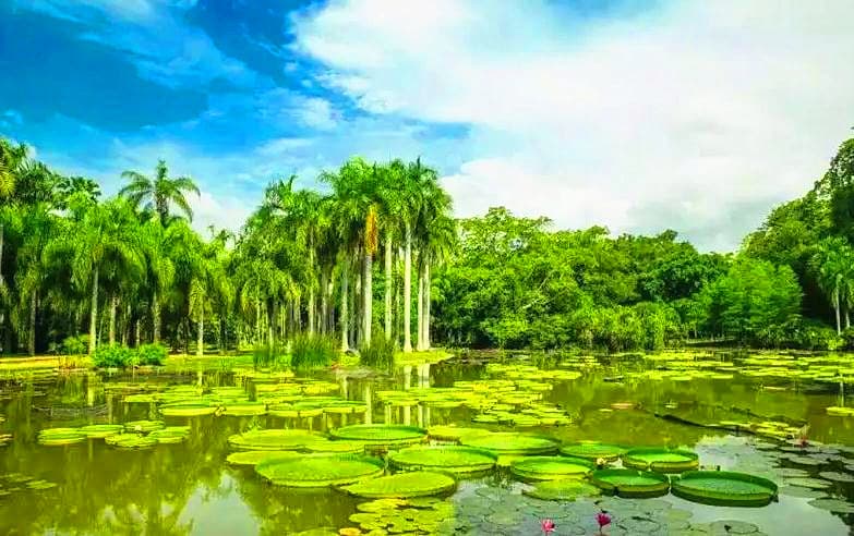 menglun-tropical-botanical-garden