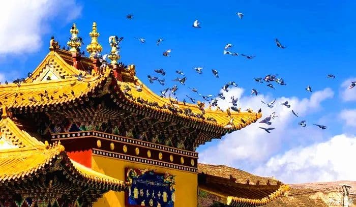 longwu-monastery