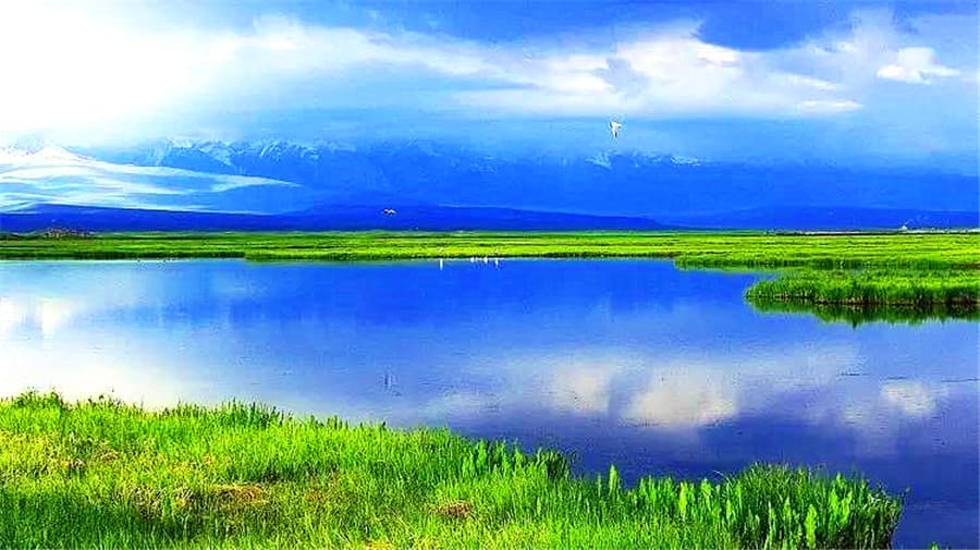 bayinbuluk-1
