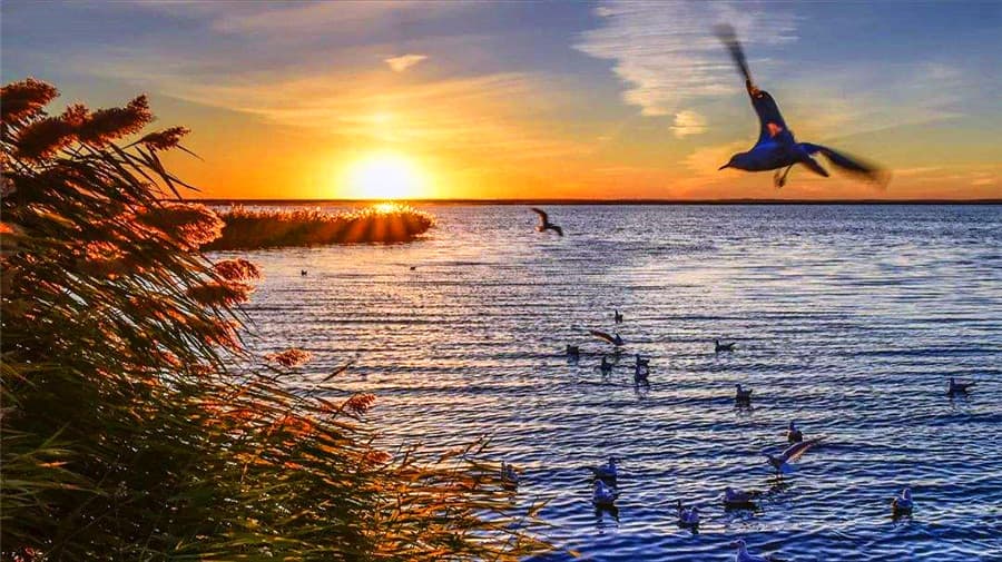 juyan-lake juyan-lake