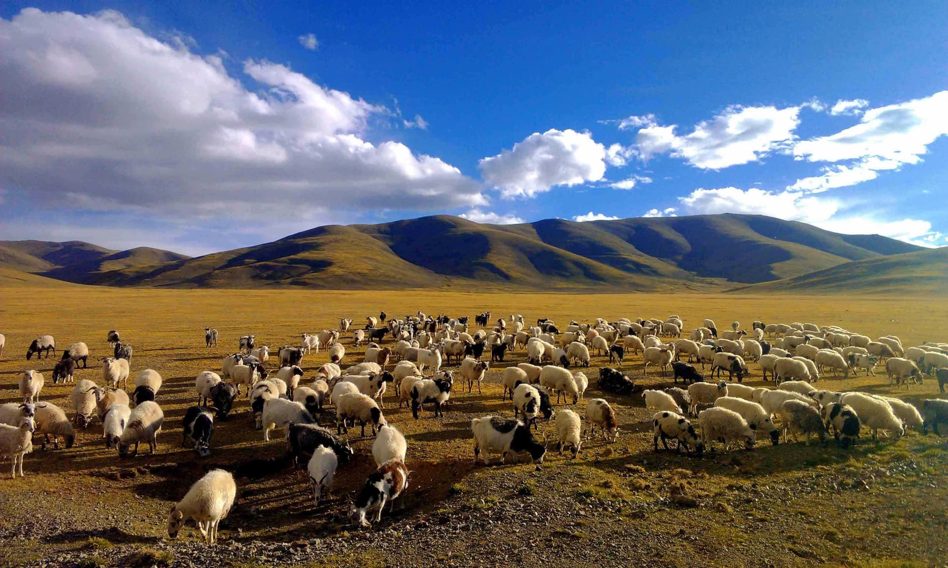 urumqi-nanshan