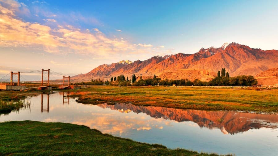 golden-grassland
