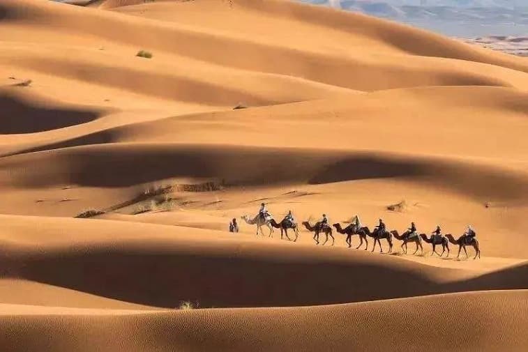 n-39-desert