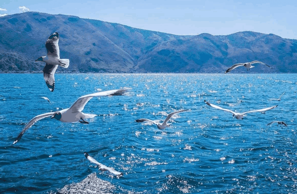 erhai-lake