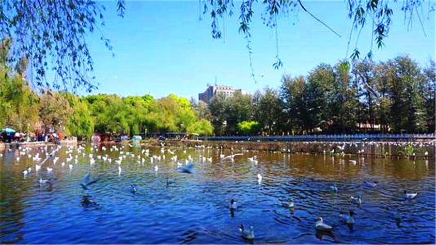 green-lake green-lake