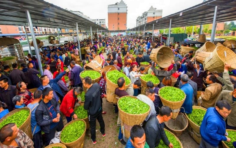 tea-market tea-market