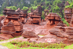 red-stone-forest