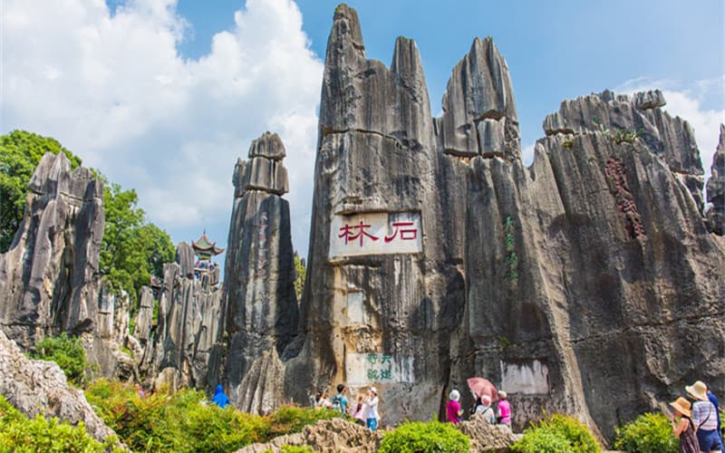 stone-forest