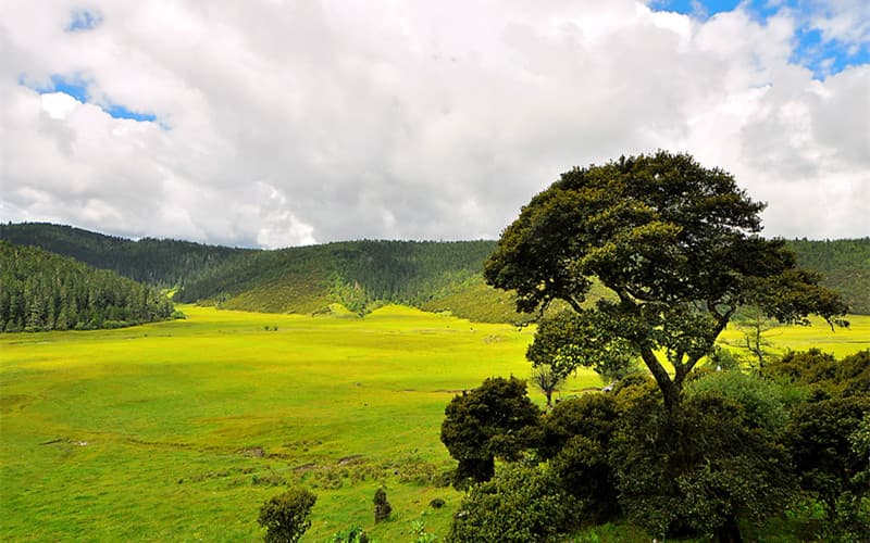 pudacuo-national-park