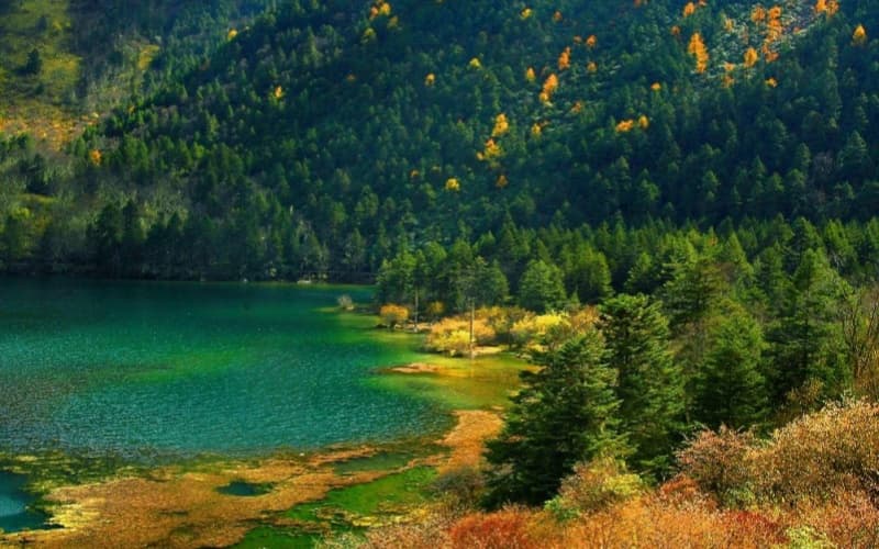 mugecuo-scenic-spot-2