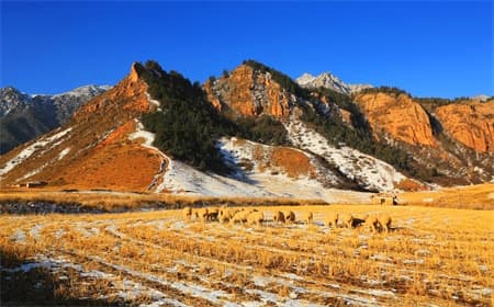 zhangye-travel-tips