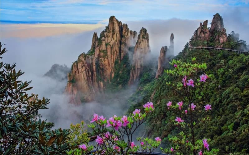 sanqing-mountain sanqing-mountain