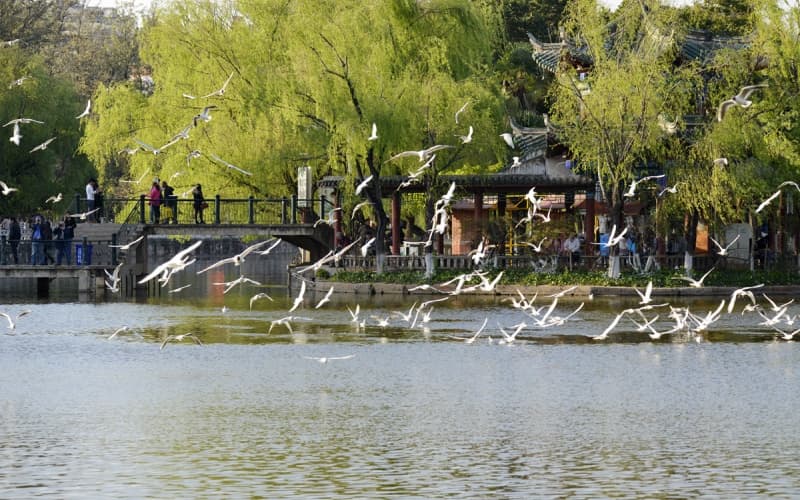 green-lake-park