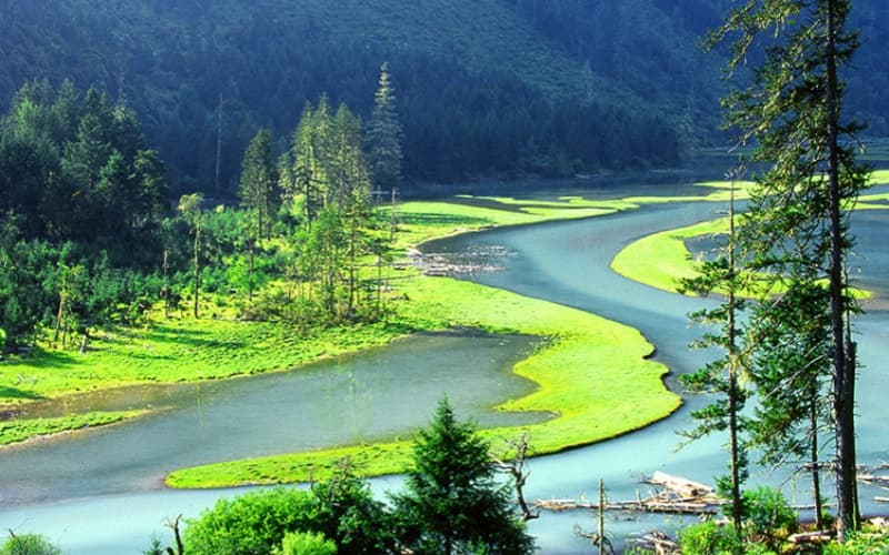 lotus-lake-scenic-spot