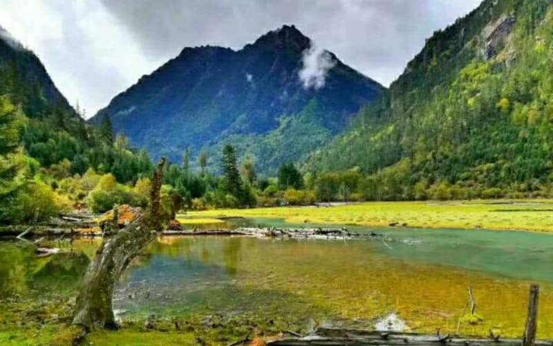 lotus-lake-scenic-spot-2