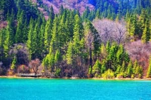 when-is-the-best-time-to-travel-to-sichuan