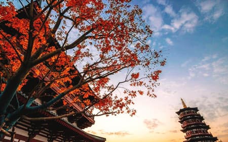 luoyang-transportation