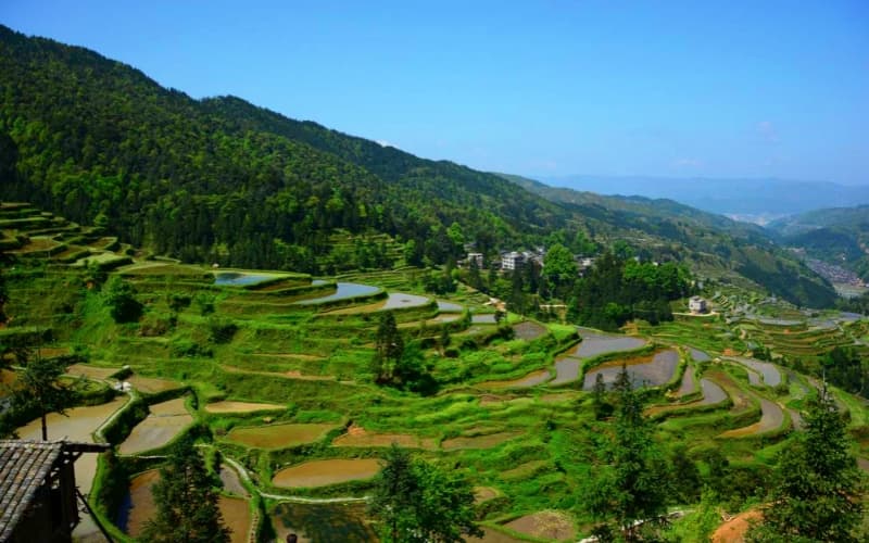 tang-an-terraces