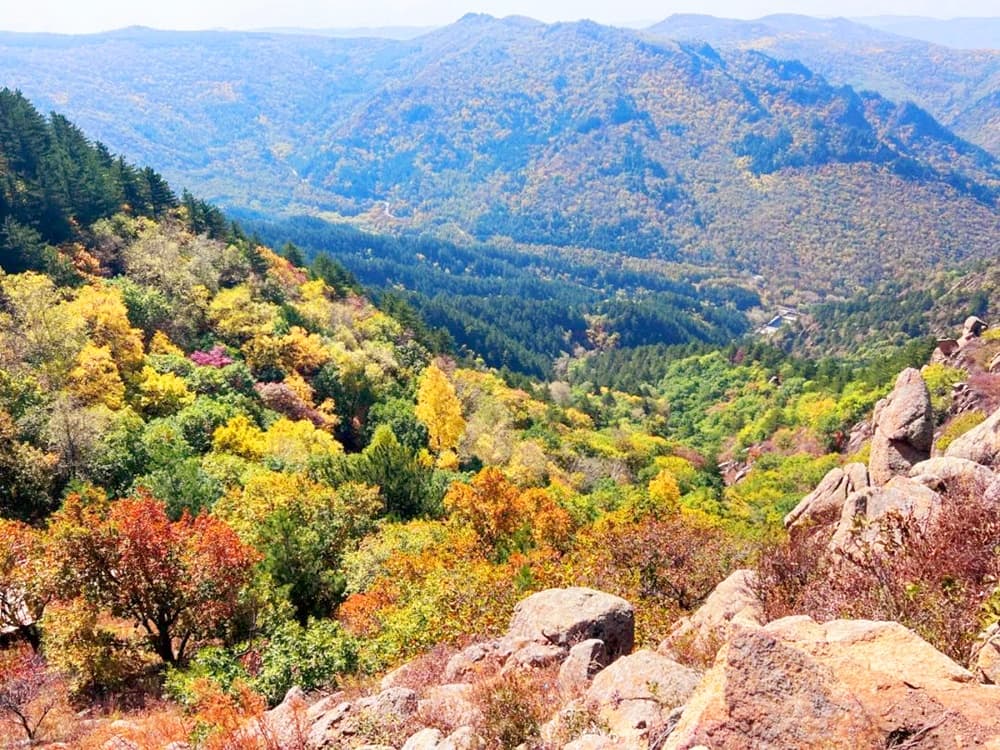 national-forest-park