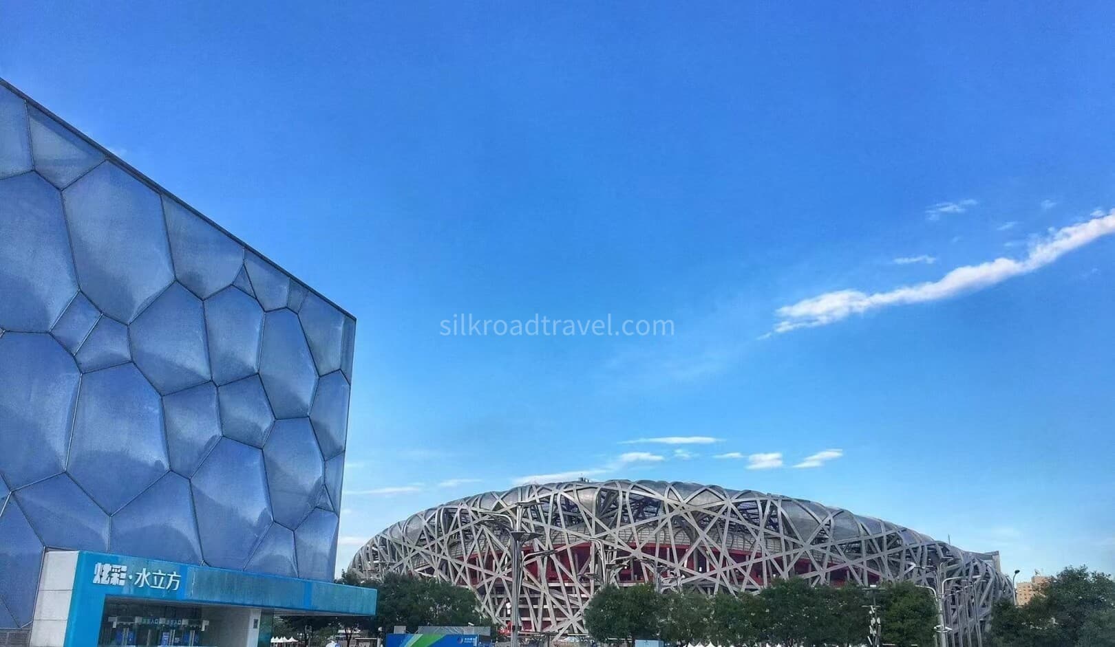 bird-s-nest-2