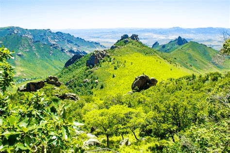 qingshan-geo-region