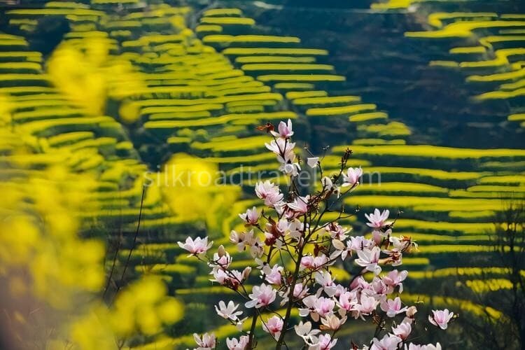 wuyuan-huangling-2
