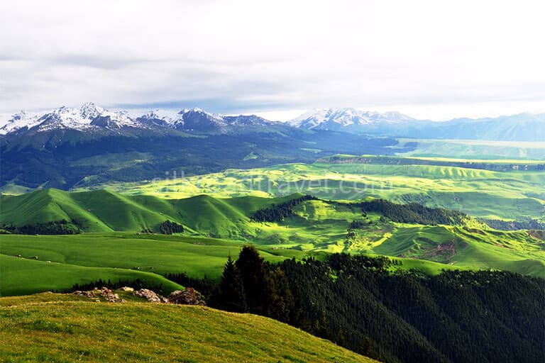 karajun-grassland-2