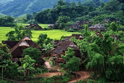 jinuo-mountain-rainforest
