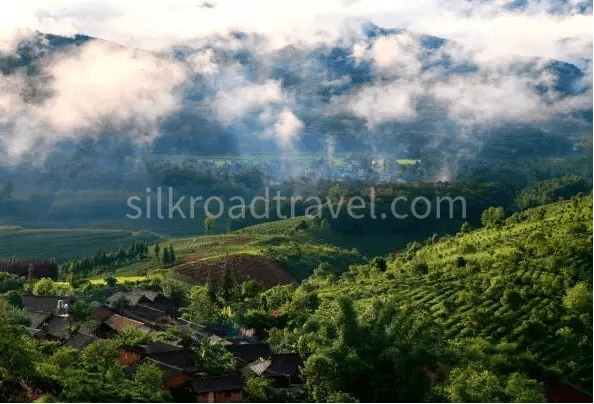 nannuo-ancient-tea-mountain