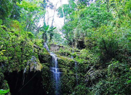 xishuangbanna-primitive-forest-park