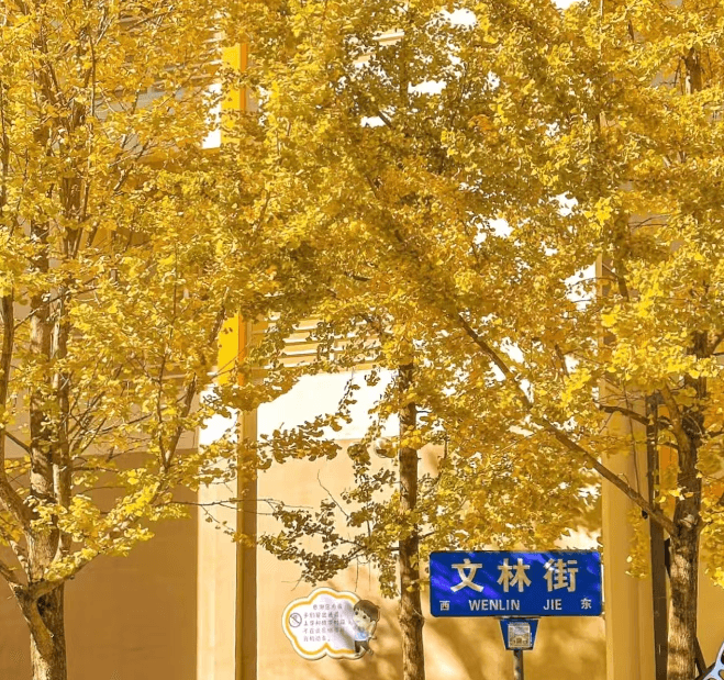 kunming-city-walk-2