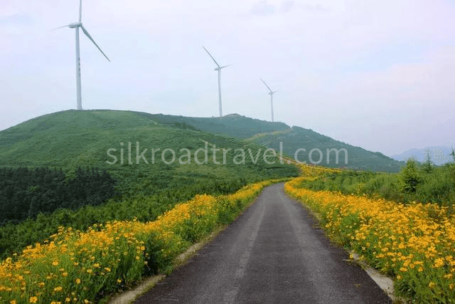 windmill-road