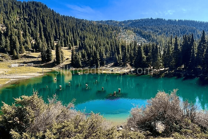 issykkul-4