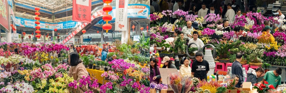 Yunnan Dounan Flower Market.jpg