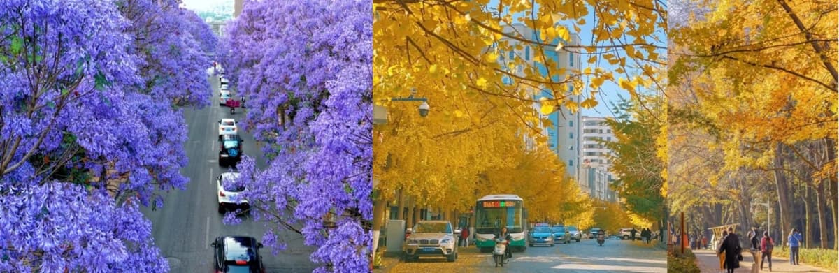 Kunming City Walk.jpg