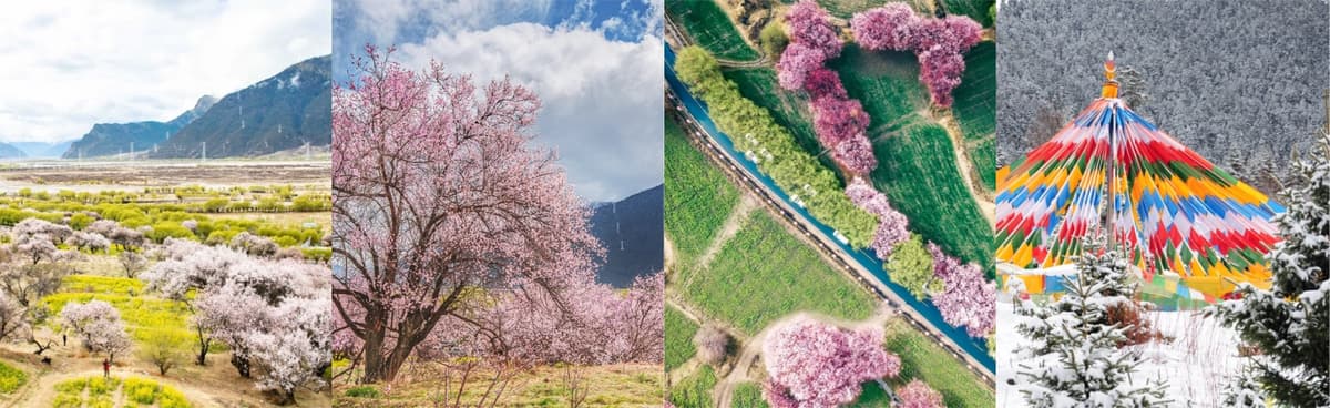 Gala Peach Blossom Village.jpg