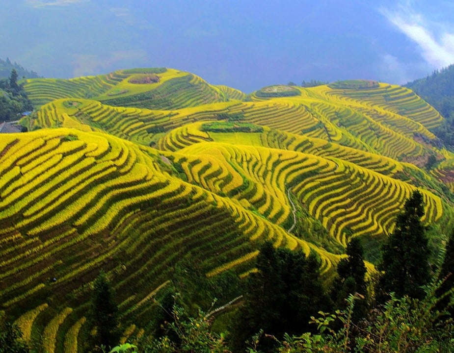 5-days-guiliin-and-yangshuo-tour