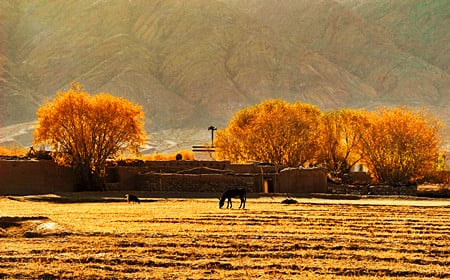 silk-road-xinjiang-group-tour