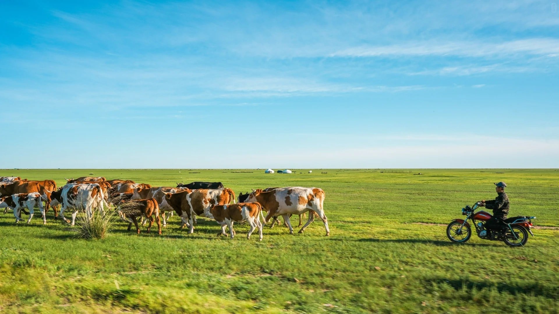 11-days-inner-mongolian-tour